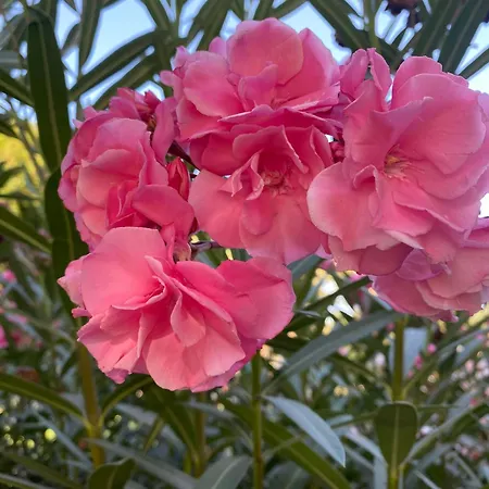 Numancia1- 4b Apartman Las Palmas de Gran Canaria