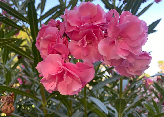 Numancia1- 4b Apartament Las Palmas de Gran Canaria