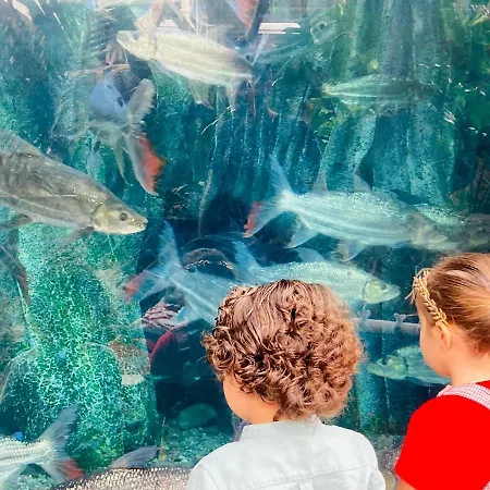 Numancia1- 4b Lägenhet Las Palmas de Gran Canaria