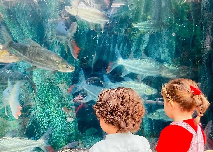 Numancia1- 4b 아파트 라스팔마스